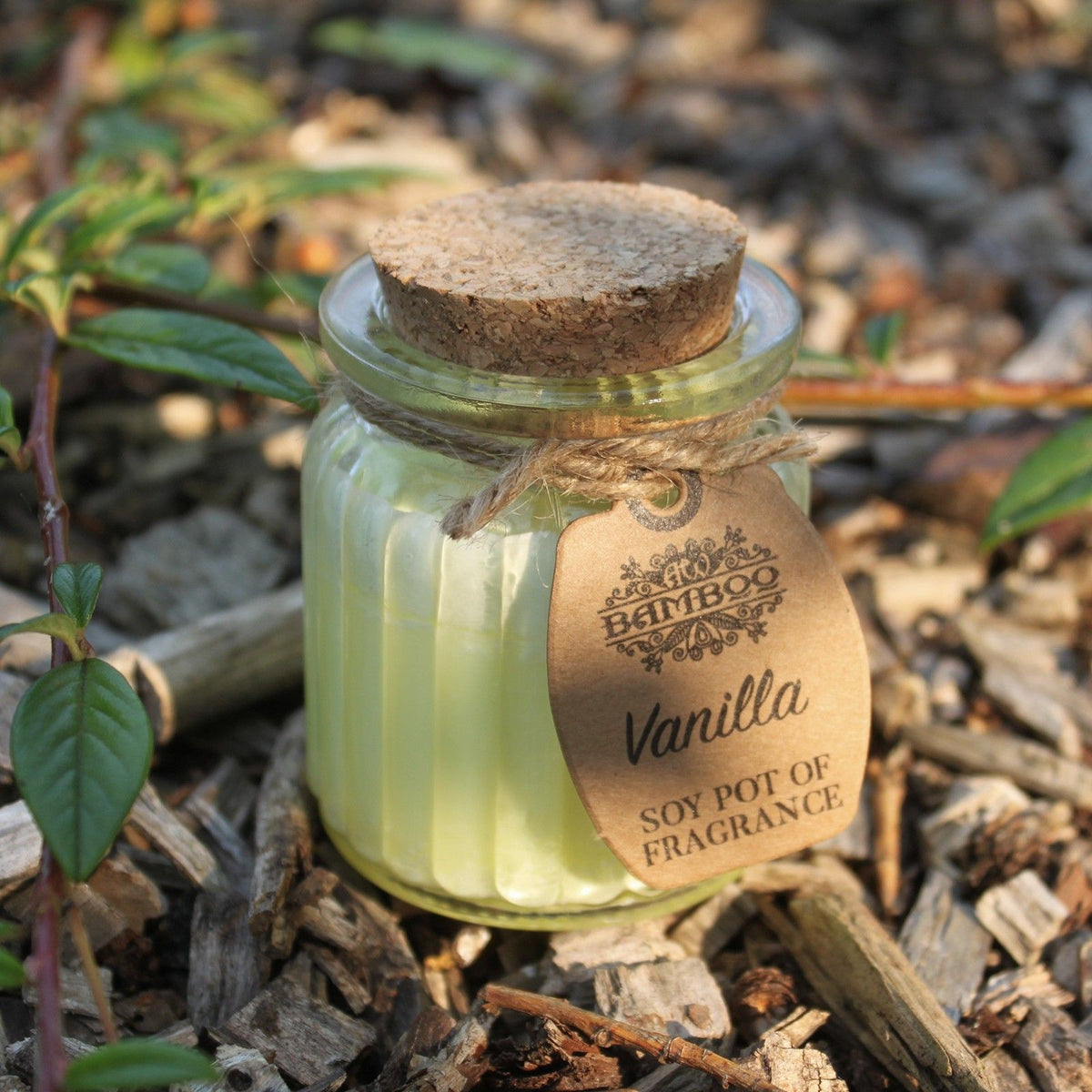 Sojakerze im Glas – Vanille | Soy Pot of Fragrance