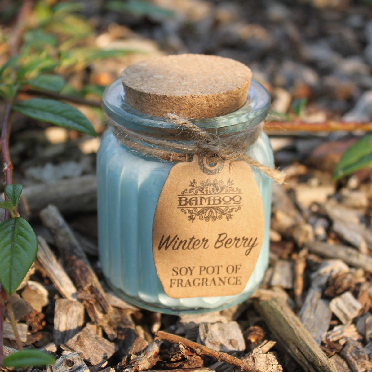 Sojakerze im Glas – Winterbeere | Soy Pot of Fragrance