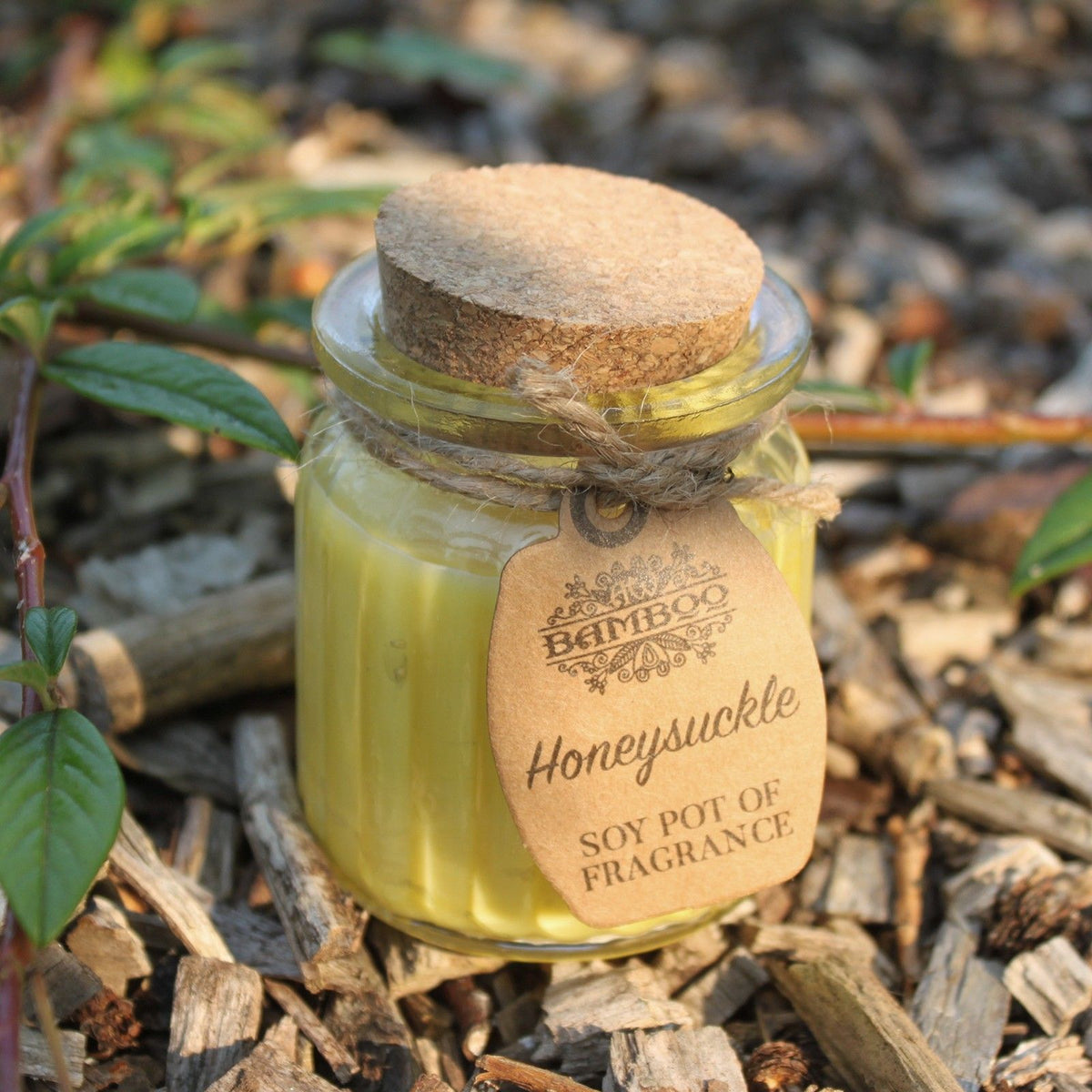 Sojakerze im Glas – Geländer-Geißblatt | Soy Pot of Fragrance