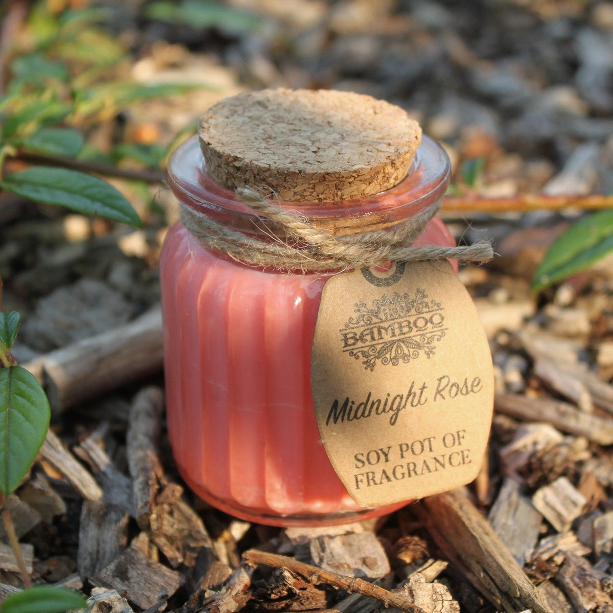 Sojakerze im Glas – Mitternachtsrose | Soy Pot of Fragrance
