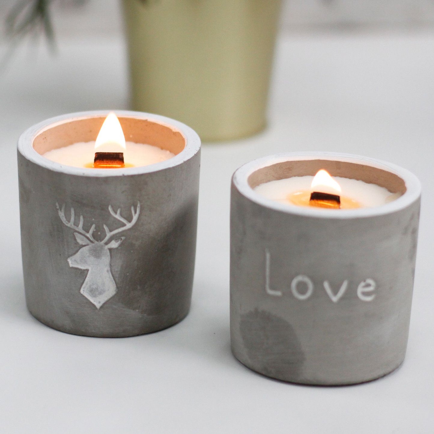 Med Concrete Soy Candle – Purple Fig & Cassis | Sojakerze im Betonbehälter