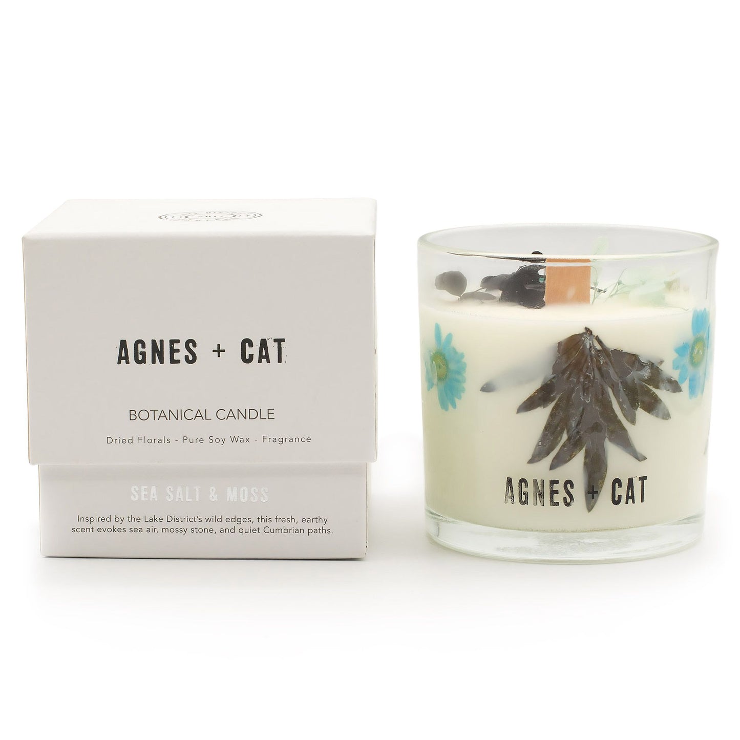 Agnes + Cat Botanische Sojakerze – Meeressalz & Moos | Frischer Küstenduft