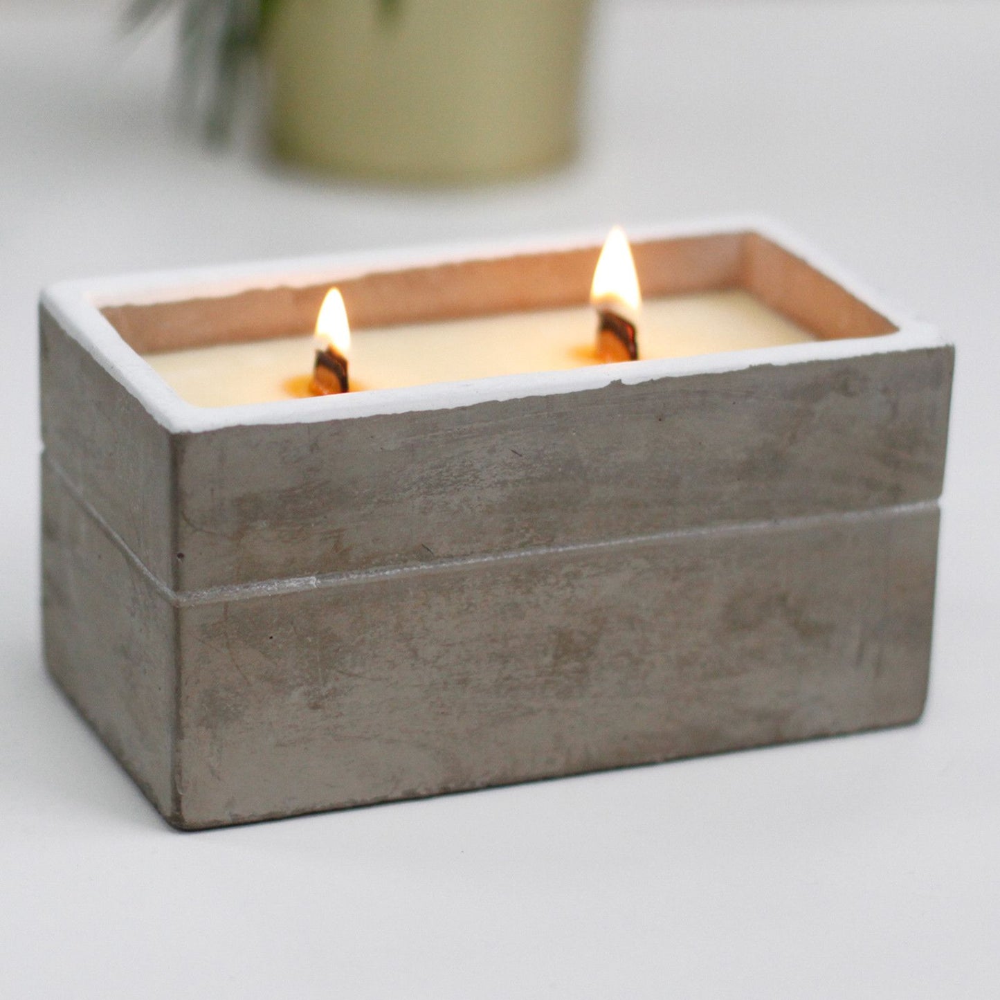 Large Concrete Soy Candle – Spiced South Sea Lime | Sojakerze im Betonbehälter