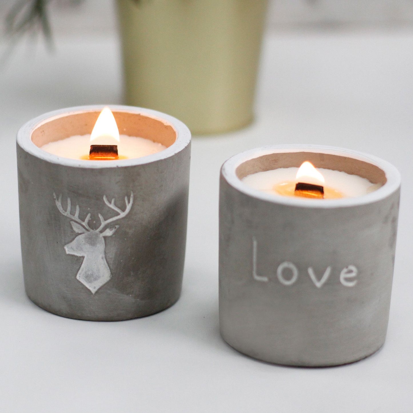 Med Concrete Soy Candle – Purple Fig & Cassis | Sojakerze im Betonbehälter